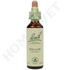 Bach Willow / Salix vitellina (Wilg)